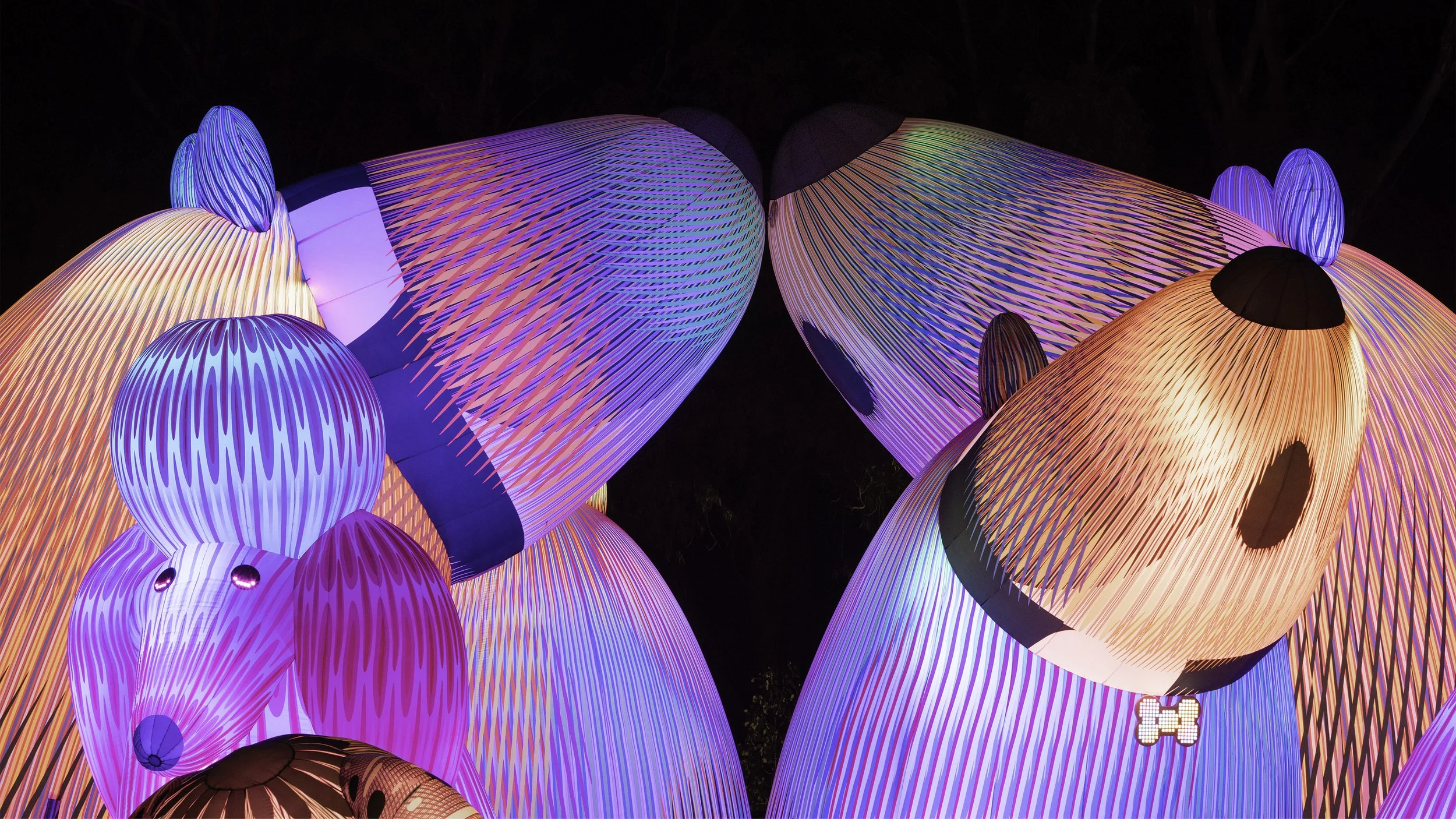 LOST DOGS' DISCO | Immersive Interactive Media & Public Art<br